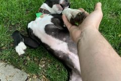 20190529_234747861_iOS